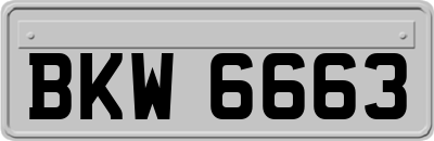 BKW6663