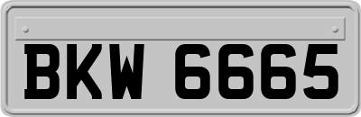 BKW6665