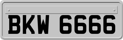 BKW6666