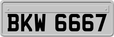 BKW6667