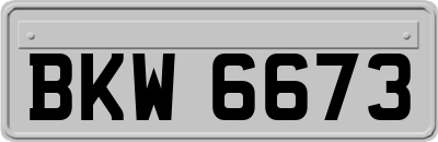 BKW6673