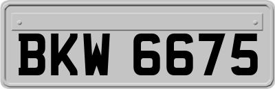 BKW6675