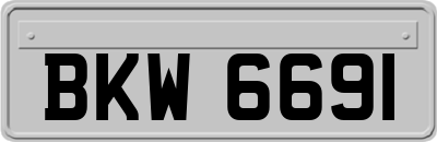 BKW6691