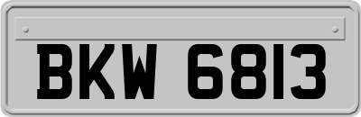 BKW6813