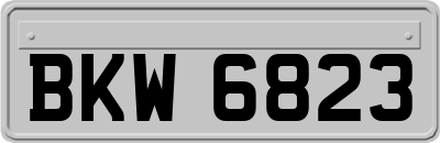 BKW6823