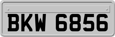 BKW6856
