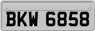 BKW6858