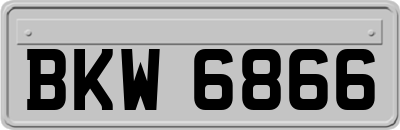 BKW6866