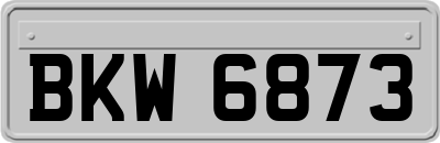 BKW6873