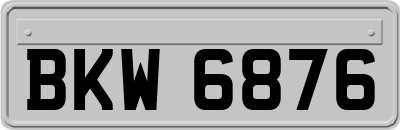 BKW6876