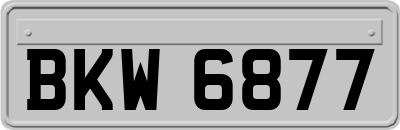 BKW6877