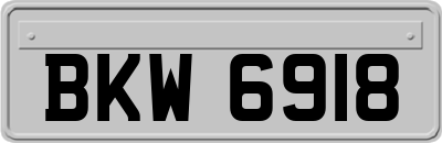 BKW6918