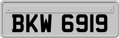 BKW6919