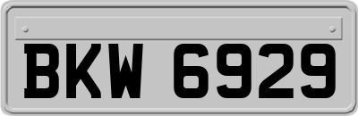 BKW6929