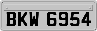 BKW6954