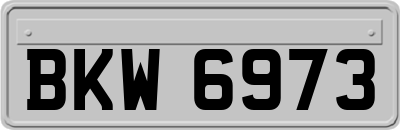 BKW6973