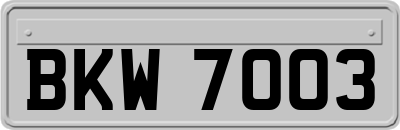 BKW7003