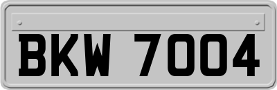 BKW7004