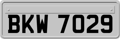 BKW7029