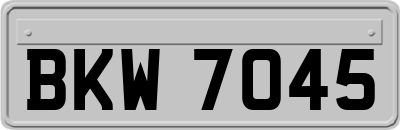 BKW7045