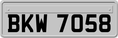 BKW7058