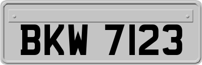 BKW7123
