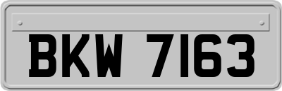 BKW7163