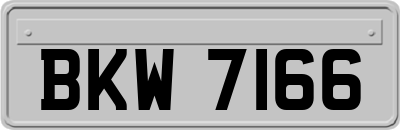 BKW7166