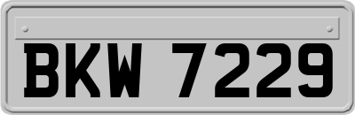 BKW7229