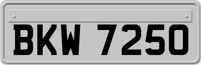 BKW7250