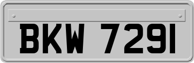 BKW7291