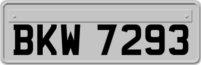BKW7293