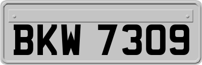 BKW7309