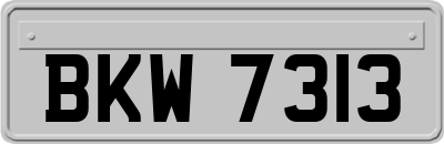 BKW7313