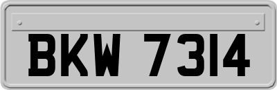 BKW7314