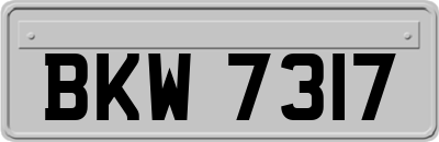 BKW7317