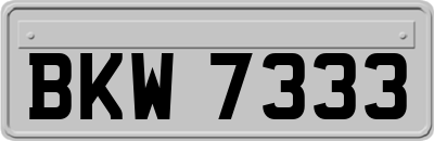 BKW7333