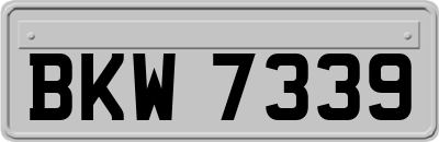 BKW7339