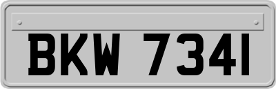 BKW7341