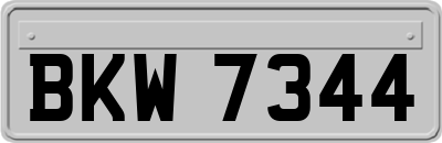 BKW7344