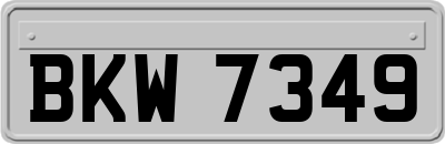 BKW7349