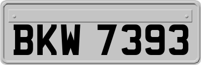 BKW7393