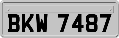 BKW7487