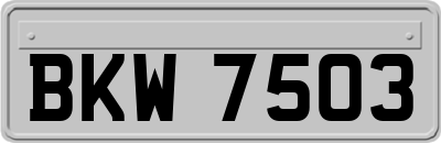 BKW7503