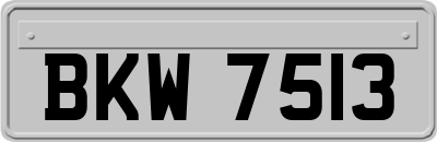BKW7513