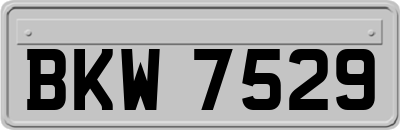 BKW7529