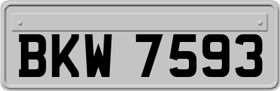 BKW7593