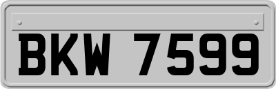 BKW7599