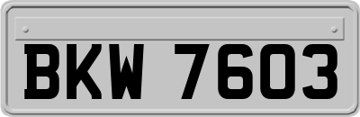 BKW7603