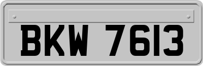 BKW7613